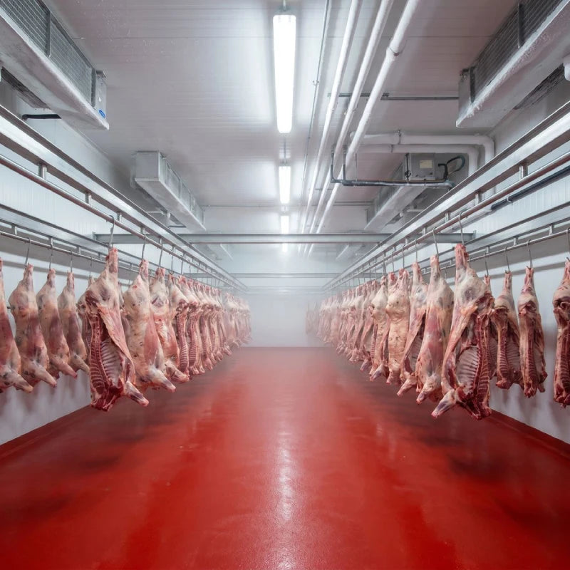 Koolmax Bespoke Freezer Room